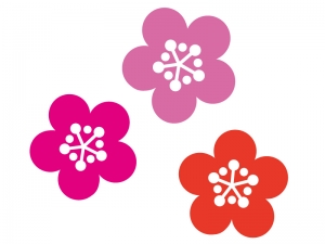 三色の梅の花の年賀状 お正月イラスト 年賀状の無料テンプレートやイラスト